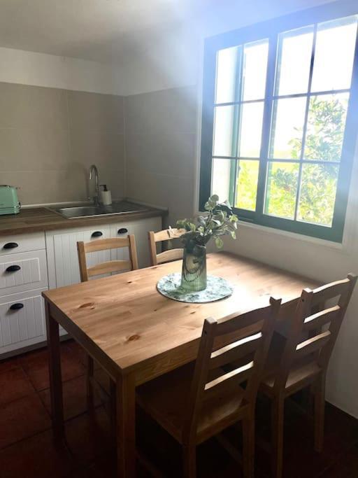 La Macadamia Villa La Laguna  Eksteriør billede