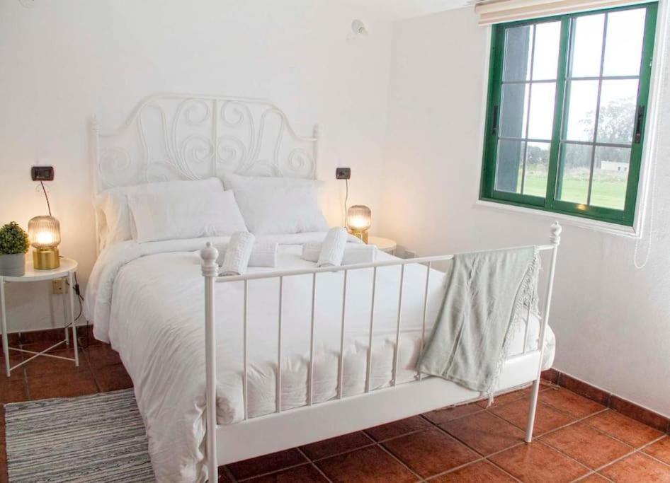 La Macadamia Villa La Laguna  Eksteriør billede
