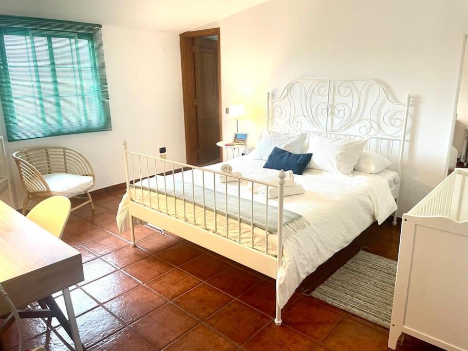 La Macadamia Villa La Laguna  Eksteriør billede